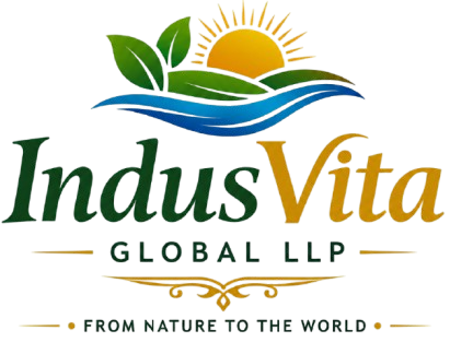 ivg logo