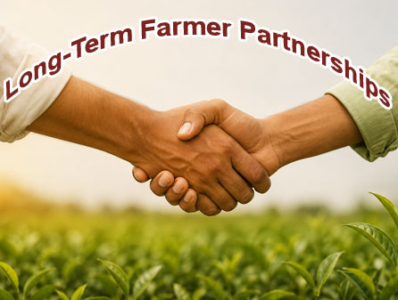 Long-Term Farmer Partnerships